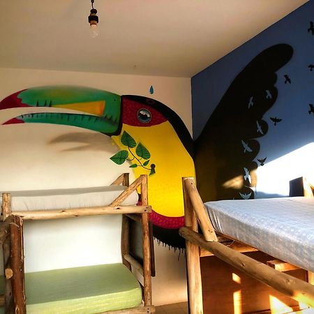 Katsbarnea Hostel Florianópolis Dış mekan fotoğraf